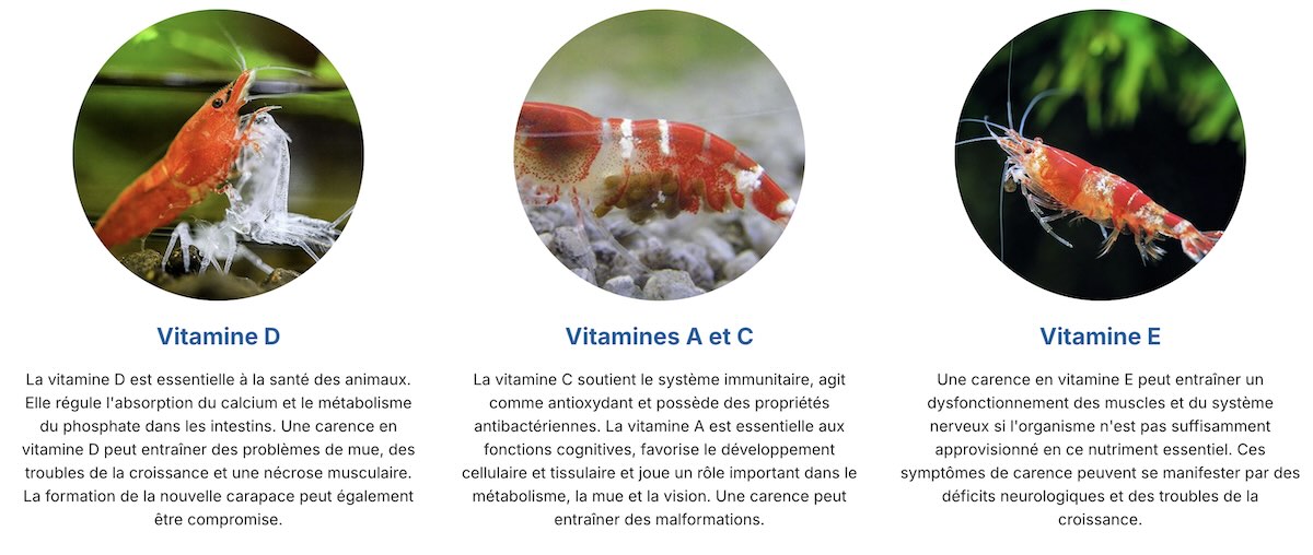 Aqua-Tropica Nano-Vit