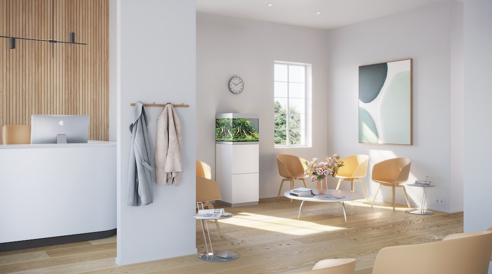 anbiance aquarium highLine oase banc