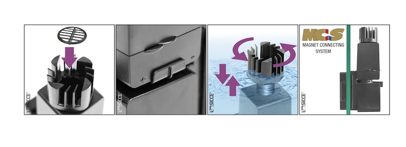 présentation Shark Mini SKIM