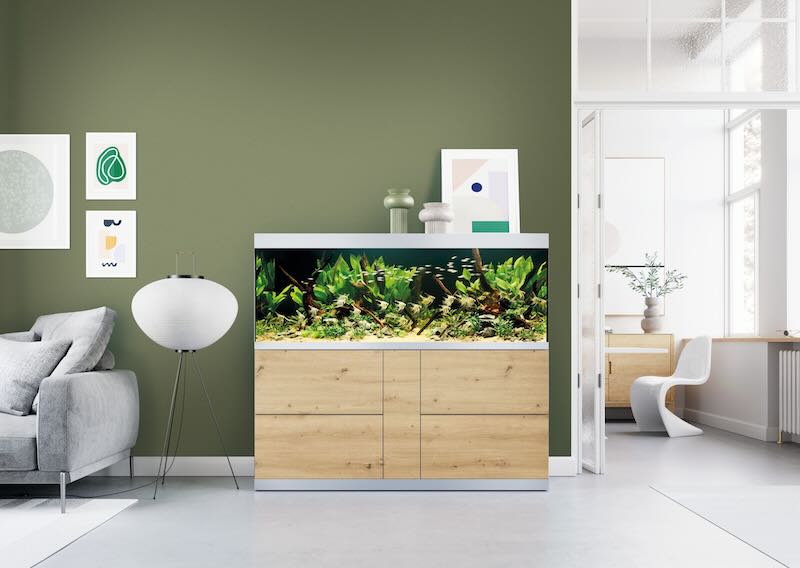 Aquarium OASE HighLine 600 Wild Oak