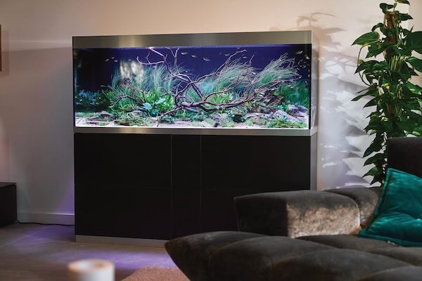 Aquarium OASE HighLine 600 noir