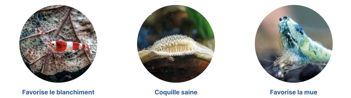Aqua-Tropica Nano Minéraux