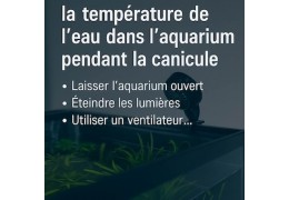 Comment diminuer la température de l’eau dans l’aquarium pendant la canicule ?